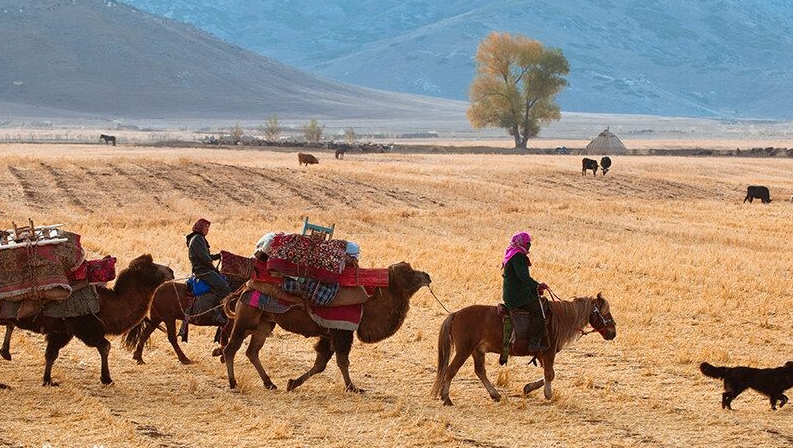 年底去新疆旅游是否合适？包车费用又是多少？